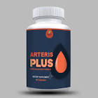 Arteris Plus